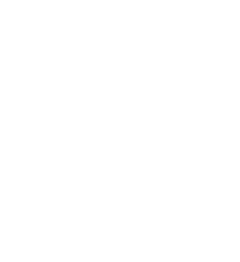 Icône de précision.
